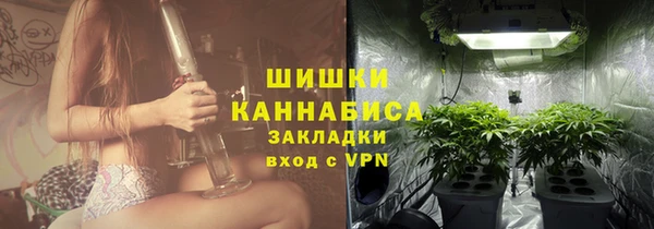 сатива Абдулино