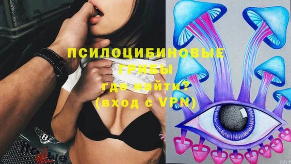 прущий лед Абаза