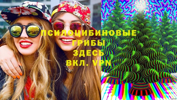 прущий лед Абаза